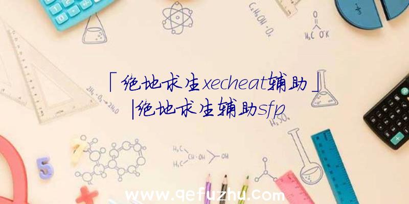 「绝地求生xecheat辅助」|绝地求生辅助sfp